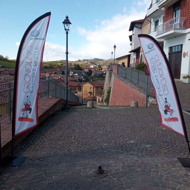 IL GRIGNOLINO SI RACCONTA